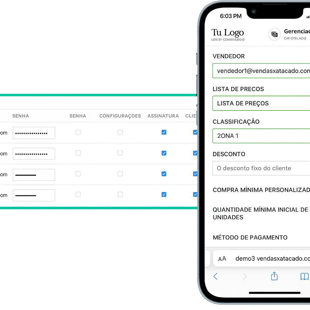 Gestão de equipes de vendedores atacadistas com VendasxAtacado