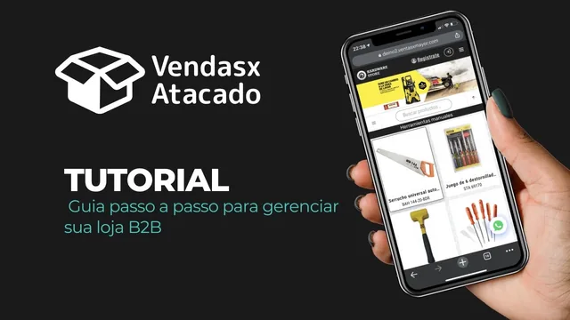 Vídeo em português: tour completo do painel atacadista B2B — guia de marketing digital para lojas atacadistas B2B